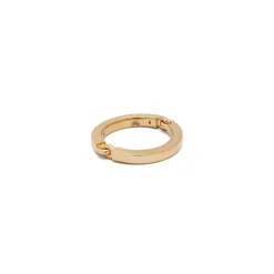 Circinus Ring | Yellow Gold