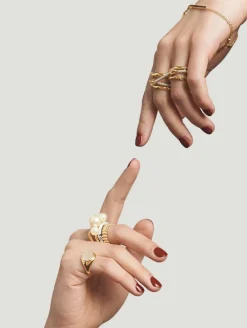 Lyra Ring | 2.5mm | Yellow Gold