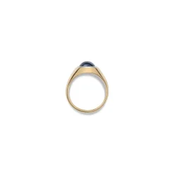Solitaire Oval Ring | Sapphire | Small Scale | Mixed Metal