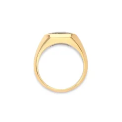 Solitaire Rectangle Ring | Emerald | Small Scale | Mixed Metal