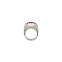 Solitaire Ring | Garnet | Mixed Metal