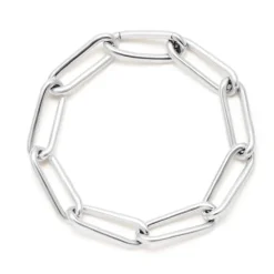 The Crupper Link Bracelet | Sterling Silver